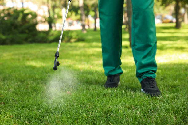 Reliable Sterling City, TX Pest Control Solutions