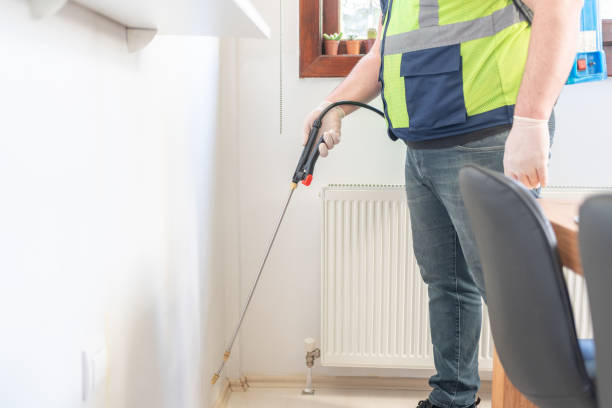 Best Local Pest Control Services  in Sterling City, TX
