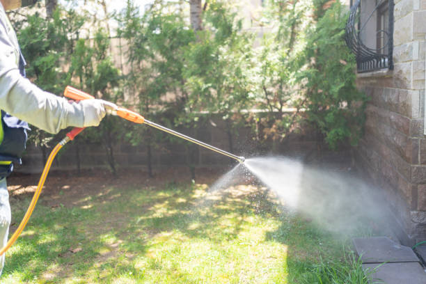 Best Cockroach Control Services  in Sterling City, TX