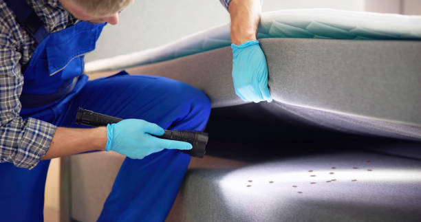 Best Cockroach Control Services  in Sterling City, TX