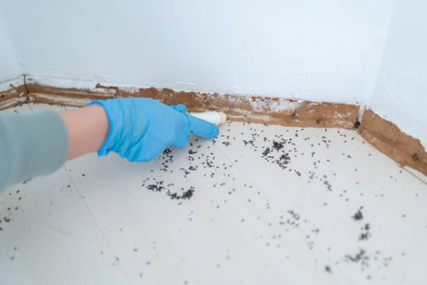 Best Best Pest Control Companies  in Sterling City, TX